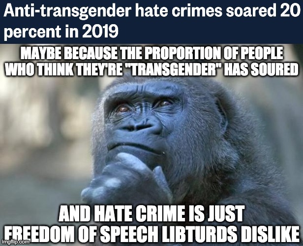 NBC is fake news. Hate speech is free speech. | image tagged in memes,politics,transgender,hate crime,fake news | made w/ Imgflip meme maker