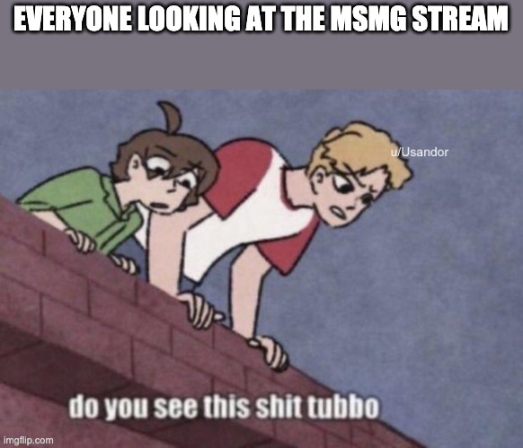 Do you see this shit Tubbo | EVERYONE LOOKING AT THE MSMG STREAM | image tagged in do you see this shit tubbo | made w/ Imgflip meme maker