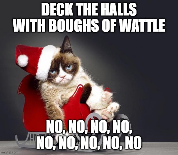 Grumpy Cat Christmas HD | DECK THE HALLS WITH BOUGHS OF WATTLE; NO, NO, NO, NO, NO, NO, NO, NO, NO | image tagged in grumpy cat christmas hd,cats,christmas songs,memes,funny,grumpy cat | made w/ Imgflip meme maker