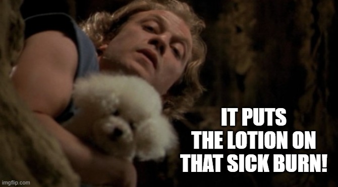 Silence of the lambs lotion | IT PUTS THE LOTION ON THAT SICK BURN! | image tagged in silence of the lambs lotion | made w/ Imgflip meme maker