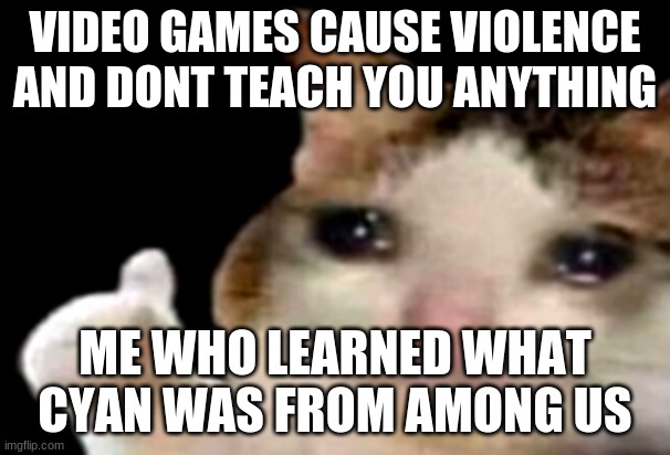 Sad cat thumbs up | VIDEO GAMES CAUSE VIOLENCE AND DONT TEACH YOU ANYTHING; ME WHO LEARNED WHAT CYAN WAS FROM AMONG US | image tagged in sad cat thumbs up | made w/ Imgflip meme maker