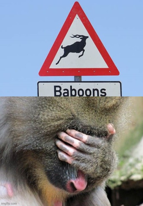 Baboons? | image tagged in funny,stupid,sign | made w/ Imgflip meme maker