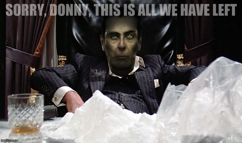 . | SORRY, DONNY, THIS IS ALL WE HAVE LEFT | image tagged in g-man from half-life as scarface | made w/ Imgflip meme maker