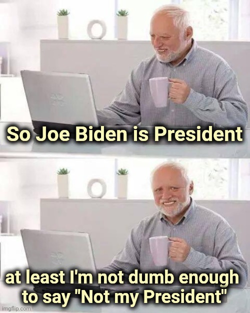 Reality is so real | So Joe Biden is President; at least I'm not dumb enough 
to say "Not my President" | image tagged in memes,hide the pain harold,crying democrats,triggered liberal,why not both | made w/ Imgflip meme maker