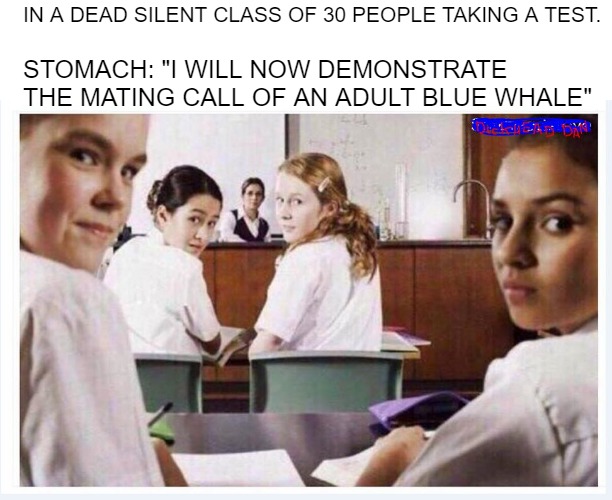 Tummy Rumbles |  IN A DEAD SILENT CLASS OF 30 PEOPLE TAKING A TEST. STOMACH: "I WILL NOW DEMONSTRATE THE MATING CALL OF AN ADULT BLUE WHALE" | image tagged in classroom | made w/ Imgflip meme maker