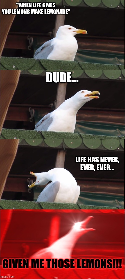 never got them lemons. | "WHEN LIFE GIVES YOU LEMONS MAKE LEMONADE"; DUDE... LIFE HAS NEVER, EVER, EVER... GIVEN ME THOSE LEMONS!!! | image tagged in memes,inhaling seagull | made w/ Imgflip meme maker