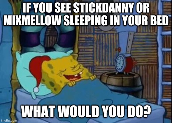 new trend time? | IF YOU SEE STICKDANNY OR MIXMELLOW SLEEPING IN YOUR BED; WHAT WOULD YOU DO? | image tagged in ocs,memes | made w/ Imgflip meme maker