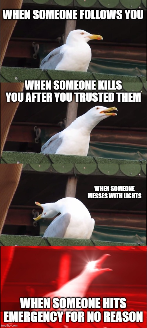 Inhaling Seagull Meme | WHEN SOMEONE FOLLOWS YOU; WHEN SOMEONE KILLS YOU AFTER YOU TRUSTED THEM; WHEN SOMEONE MESSES WITH LIGHTS; WHEN SOMEONE HITS EMERGENCY FOR NO REASON | image tagged in memes,inhaling seagull | made w/ Imgflip meme maker