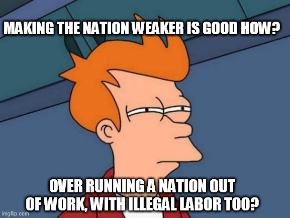 Futurama Fry Meme | MAKING THE NATION WEAKER IS GOOD HOW? OVER RUNNING A NATION OUT OF WORK, WITH ILLEGAL LABOR TOO? | image tagged in memes,futurama fry | made w/ Imgflip meme maker