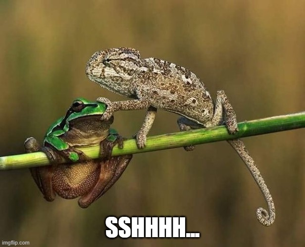 ShhLizard | SSHHHH... | image tagged in memes | made w/ Imgflip meme maker