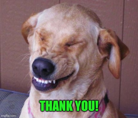 dog laugh | THANK YOU! | image tagged in dog laugh | made w/ Imgflip meme maker