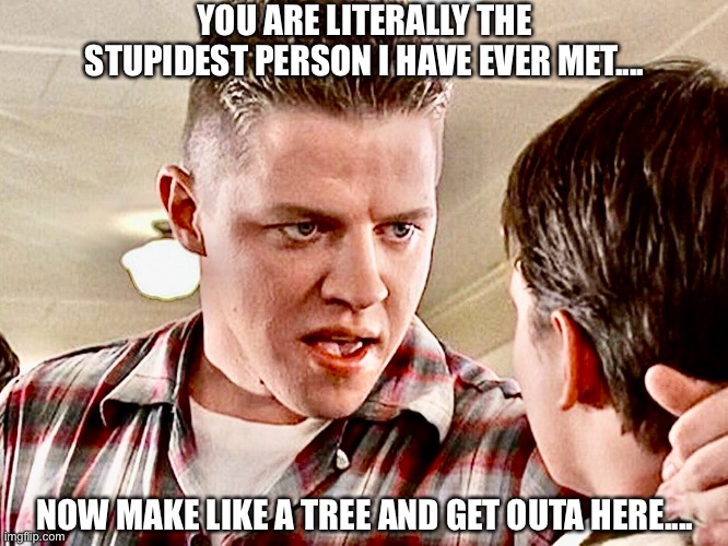  YOU ARE LITERALLY THE STUPIDEST PERSON I HAVE EVER MET.... NOW MAKE LIKE A TREE AND GET OUTA HERE.... | image tagged in back to the future,biff tannen,marty mcfly,2020,dummy | made w/ Imgflip meme maker