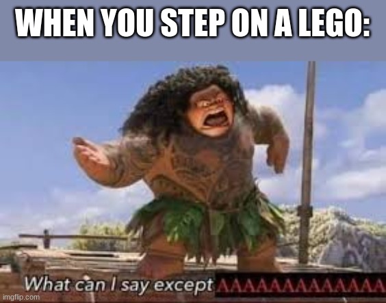 aaaaaaaaaaaaaaaaaaaaaaaaaaaaaaaaaaaaaaaaaa | WHEN YOU STEP ON A LEGO: | image tagged in what can i say except aaaaaaaaaaa | made w/ Imgflip meme maker