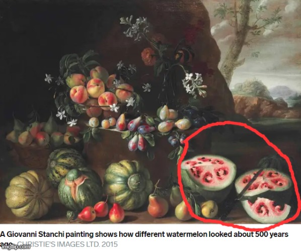 Prolly no one needs to know this but this is wht watermelons used to look like before they got genetically modified. | made w/ Imgflip meme maker