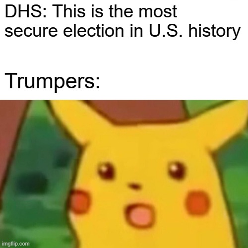 Somebody on Facebook described this so I made it. | DHS: This is the most secure election in U.S. history; Trumpers: | image tagged in memes,surprised pikachu,dhs,election,trumpers | made w/ Imgflip meme maker