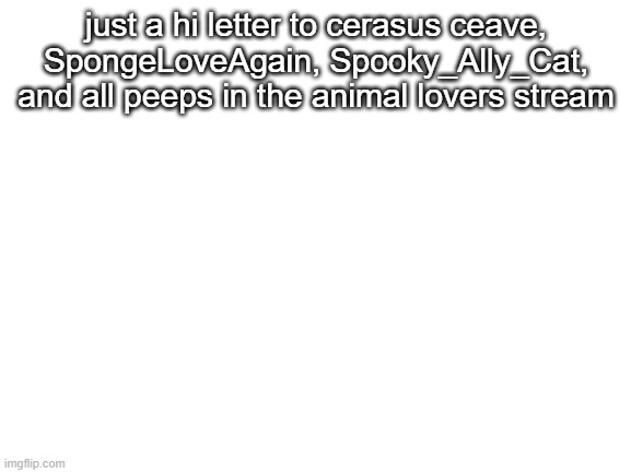 Blank White Template | just a hi letter to cerasus ceave, SpongeLoveAgain, Spooky_Ally_Cat, and all peeps in the animal lovers stream | image tagged in blank white template | made w/ Imgflip meme maker