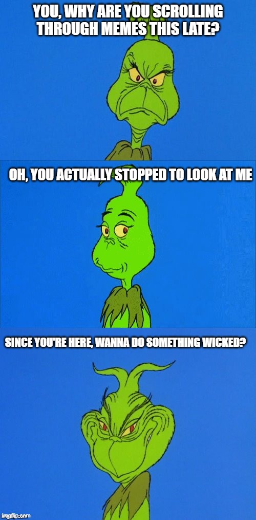 4th Wall Grinch | YOU, WHY ARE YOU SCROLLING THROUGH MEMES THIS LATE? OH, YOU ACTUALLY STOPPED TO LOOK AT ME; SINCE YOU'RE HERE, WANNA DO SOMETHING WICKED? | image tagged in the grinch christmas,christmas,funny memes | made w/ Imgflip meme maker