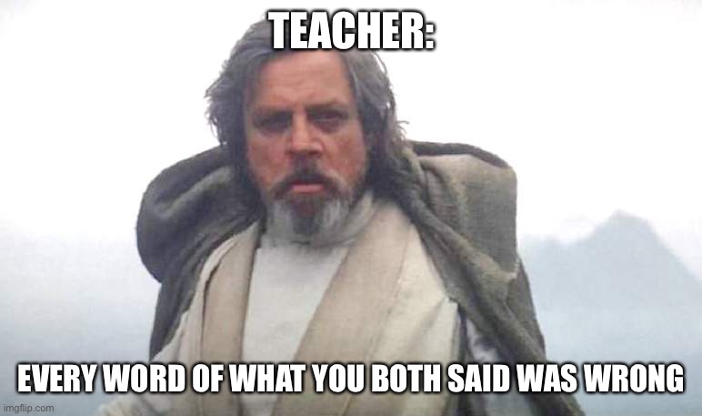 Luke Skywalker | TEACHER: EVERY WORD OF WHAT YOU BOTH SAID WAS WRONG | image tagged in luke skywalker | made w/ Imgflip meme maker
