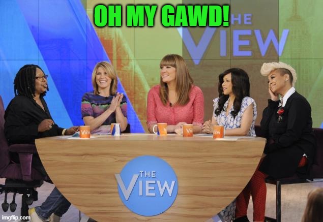 The View | OH MY GAWD! | image tagged in the view | made w/ Imgflip meme maker