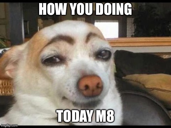 How you doin' | HOW YOU DOING TODAY M8 | image tagged in how you doin' | made w/ Imgflip meme maker