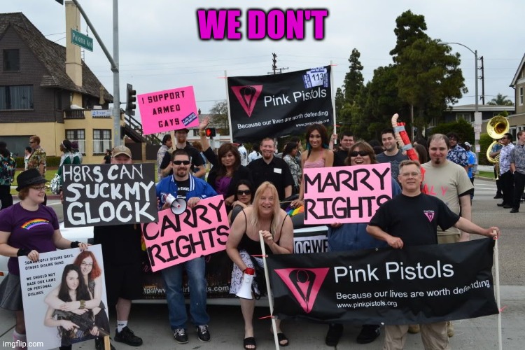 Pink Pistols | WE DON'T | image tagged in pink pistols | made w/ Imgflip meme maker