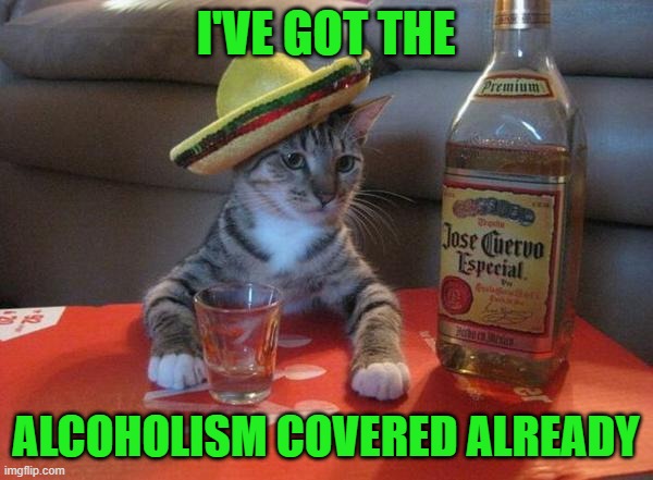 alcohol cat | I'VE GOT THE ALCOHOLISM COVERED ALREADY | image tagged in alcohol cat | made w/ Imgflip meme maker