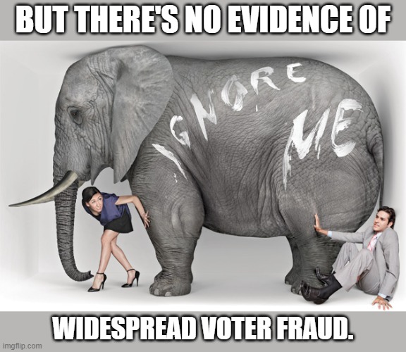So let's just ignore what we have actual found. | BUT THERE'S NO EVIDENCE OF; WIDESPREAD VOTER FRAUD. | image tagged in elephant in the room | made w/ Imgflip meme maker