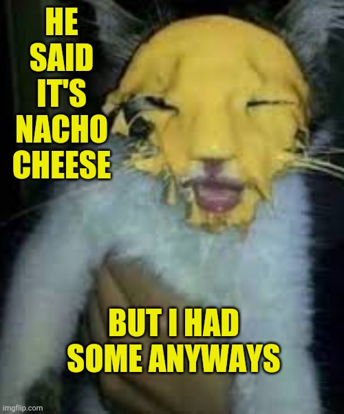 Not yours | HE SAID IT'S NACHO CHEESE; BUT I HAD SOME ANYWAYS | image tagged in nachos,macho man,not funny,not yours,i told you | made w/ Imgflip meme maker