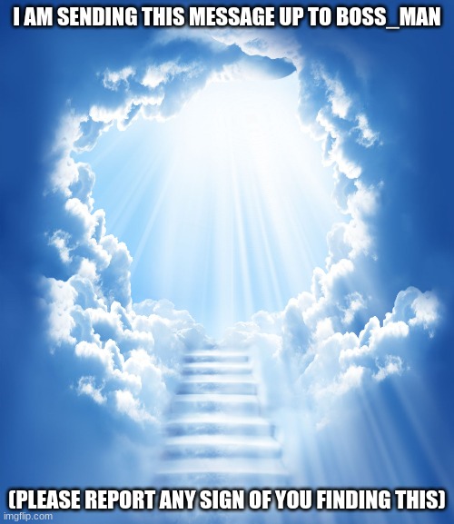 Heaven | I AM SENDING THIS MESSAGE UP TO BOSS_MAN; (PLEASE REPORT ANY SIGN OF YOU FINDING THIS) | image tagged in heaven | made w/ Imgflip meme maker