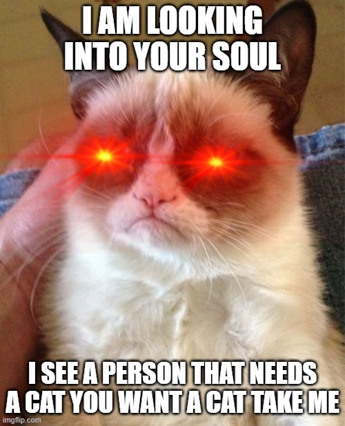 Grumpy Cat Meme | I AM LOOKING INTO YOUR SOUL; I SEE A PERSON THAT NEEDS A CAT YOU WANT A CAT TAKE ME | image tagged in memes,grumpy cat | made w/ Imgflip meme maker