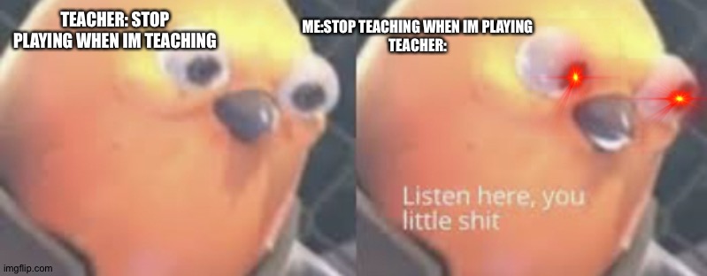 Listen here you little shit bird | TEACHER: STOP PLAYING WHEN IM TEACHING; ME:STOP TEACHING WHEN IM PLAYING
TEACHER: | image tagged in listen here you little shit bird | made w/ Imgflip meme maker