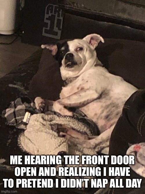 ME HEARING THE FRONT DOOR OPEN AND REALIZING I HAVE TO PRETEND I DIDN’T NAP ALL DAY | made w/ Imgflip meme maker