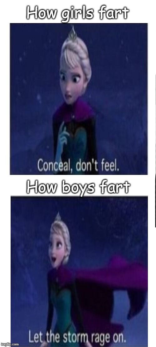 Boys will be boys... | How girls fart; How boys fart | image tagged in memes,inhaling seagull | made w/ Imgflip meme maker
