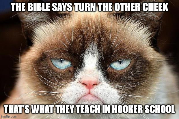 Grumpy Cat Not Amused | THE BIBLE SAYS TURN THE OTHER CHEEK; THAT'S WHAT THEY TEACH IN HOOKER SCHOOL | image tagged in memes,grumpy cat not amused,grumpy cat | made w/ Imgflip meme maker