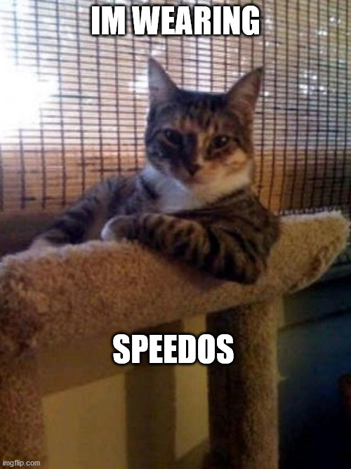The Most Interesting Cat In The World Meme | IM WEARING; SPEEDOS | image tagged in memes,the most interesting cat in the world | made w/ Imgflip meme maker