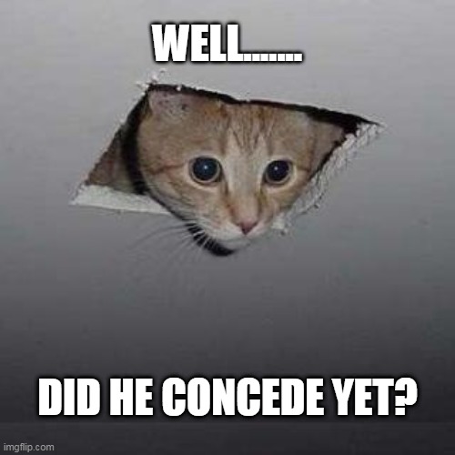 well did he concede yet | WELL....... DID HE CONCEDE YET? | image tagged in memes,ceiling cat | made w/ Imgflip meme maker