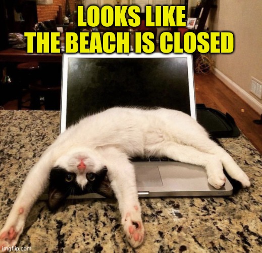 Beach Closed | LOOKS LIKE THE BEACH IS CLOSED | image tagged in beach closed sign,bc ferries,funny cat memes,sleeping cat,error 404,no internet | made w/ Imgflip meme maker