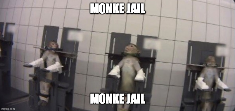 MONKE JAIL; MONKE JAIL | made w/ Imgflip meme maker