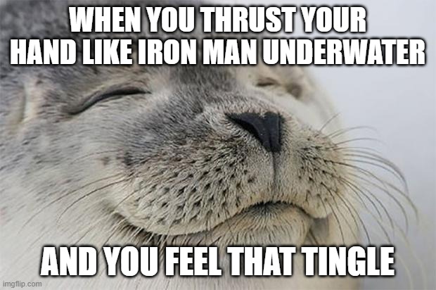 i was at the pool today | WHEN YOU THRUST YOUR HAND LIKE IRON MAN UNDERWATER; AND YOU FEEL THAT TINGLE | image tagged in memes,satisfied seal,iron man | made w/ Imgflip meme maker