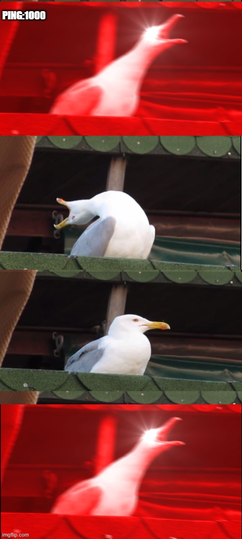 This is supposed to be on fun but I needed to wait for 3 hours | PING:1000 | image tagged in memes,inhaling seagull | made w/ Imgflip meme maker