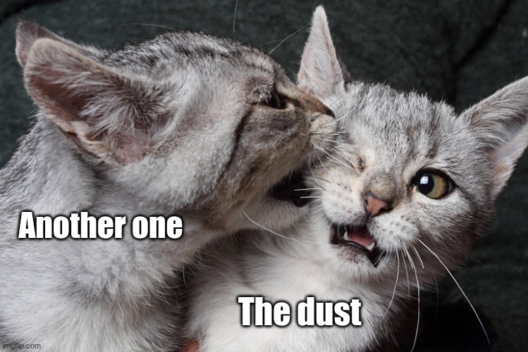 Unoriginal meme | Another one; The dust | image tagged in another one bites the dust | made w/ Imgflip meme maker
