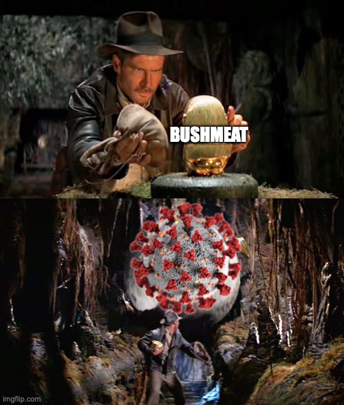 Indy Starts a Pandemic | BUSHMEAT | image tagged in indiana jones idol boulder | made w/ Imgflip meme maker