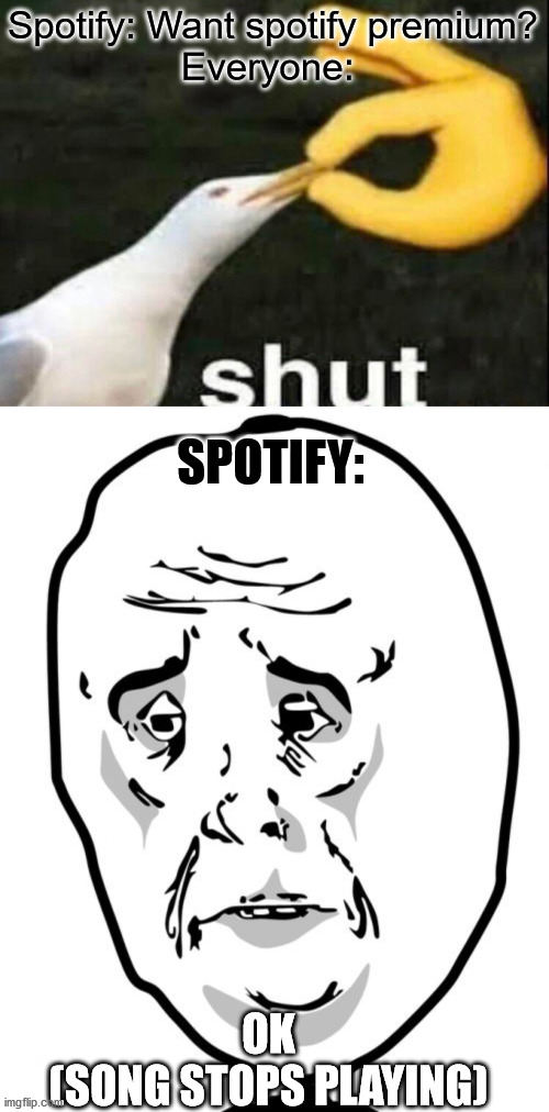 Spotify: Want spotify premium?
Everyone: SPOTIFY: OK
(SONG STOPS PLAYING) | image tagged in shut,memes,okay guy rage face 2 | made w/ Imgflip meme maker