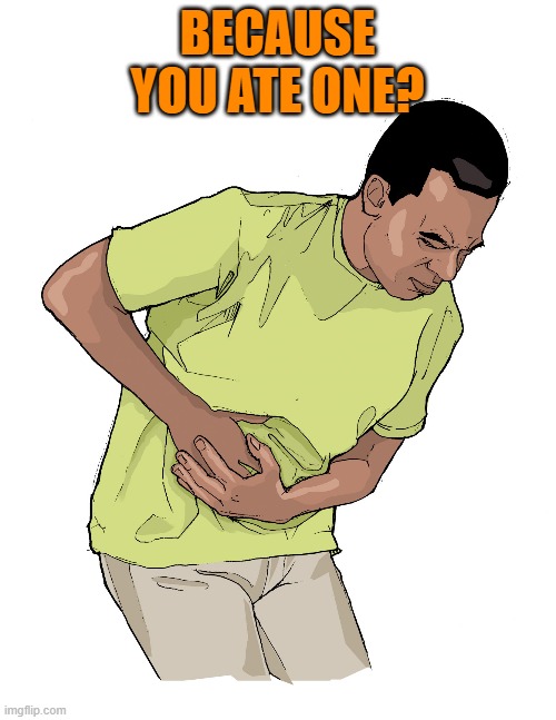 eola-stomach-pain.jpg | BECAUSE YOU ATE ONE? | image tagged in eola-stomach-pain jpg | made w/ Imgflip meme maker