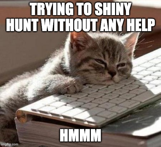 tired cat | TRYING TO SHINY HUNT WITHOUT ANY HELP; HMMM | image tagged in tired cat | made w/ Imgflip meme maker