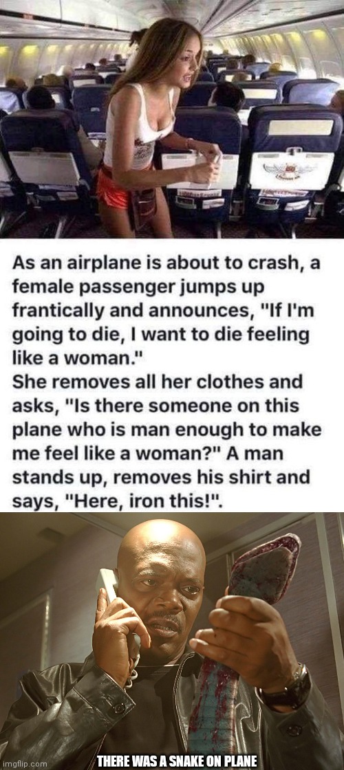 THERE WAS A SNAKE ON PLANE | image tagged in samuel jackson snake on a plane,memes | made w/ Imgflip meme maker