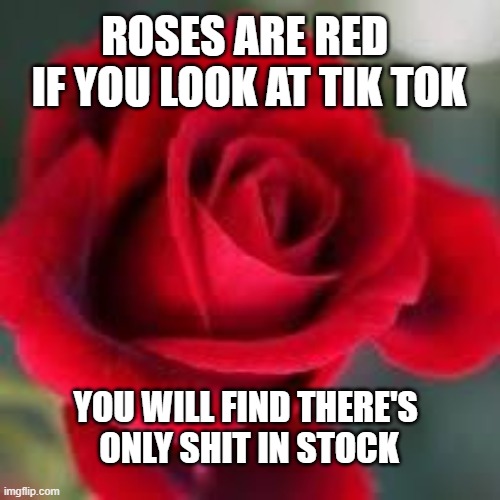 Shits only in stock here at tik tok | ROSES ARE RED 
IF YOU LOOK AT TIK TOK; YOU WILL FIND THERE'S 
ONLY SHIT IN STOCK | image tagged in roses are red | made w/ Imgflip meme maker