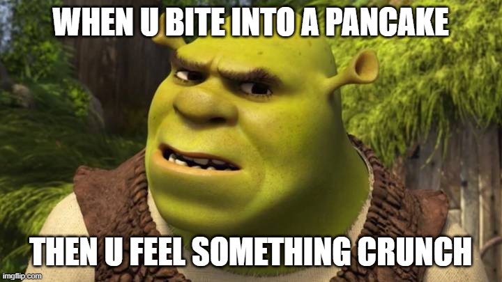 Something's wrong |  WHEN U BITE INTO A PANCAKE; THEN U FEEL SOMETHING CRUNCH | image tagged in shrek,somethings wrong,pancake | made w/ Imgflip meme maker