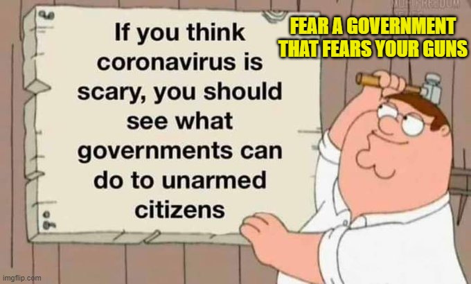 FEAR A GOVERNMENT THAT FEARS YOUR GUNS | FEAR A GOVERNMENT THAT FEARS YOUR GUNS | image tagged in second amendment | made w/ Imgflip meme maker