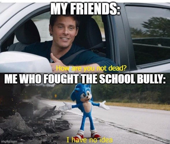 This always happened when i was in 7th grade. | MY FRIENDS:; ME WHO FOUGHT THE SCHOOL BULLY: | image tagged in sonic how are you not dead | made w/ Imgflip meme maker